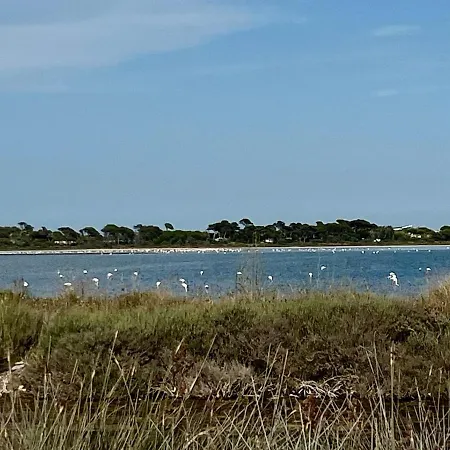 Lejlighed Casa Solis *