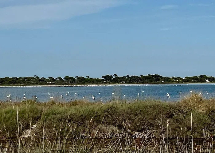 Lägenhet Casa Solis *